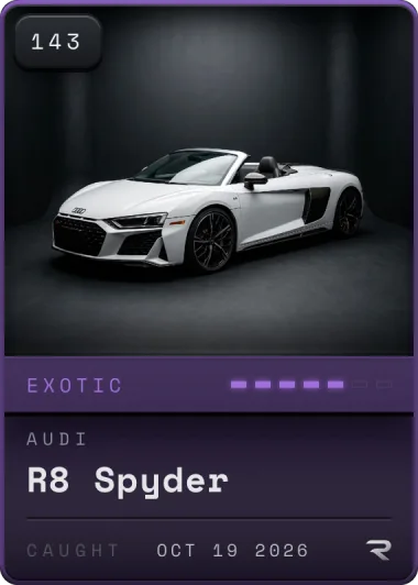 Exotic Audi R8 Spyder card, #143